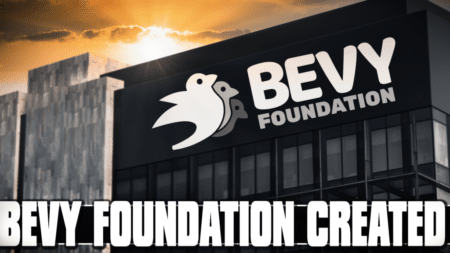 Bevy Foundation Formed